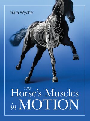 cover image of Horse's Muscles in Motion